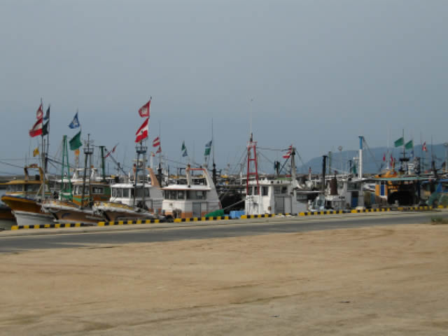 写真1：漁港にたくさんの漁船が並んで停泊している写真です。