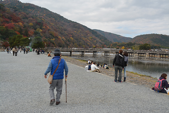 写真：杖を使いゆっくりと桂川沿いを歩くお客様
