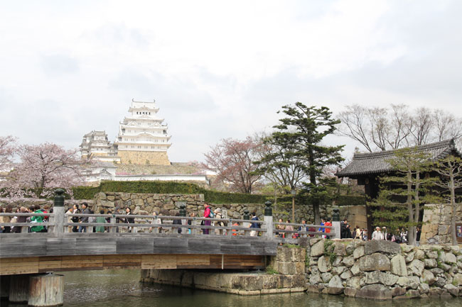 写真：白が映える白鷺城姫路城
