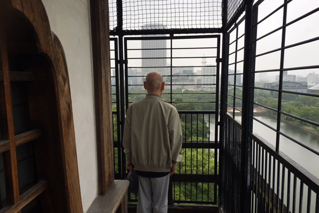 写真：広島城天守閣から街を眺めるお客様の背中