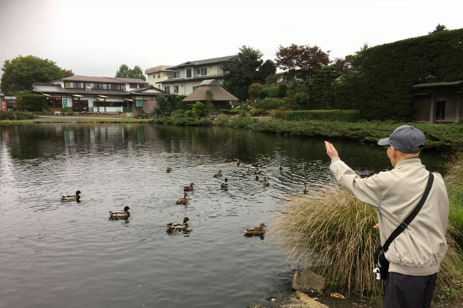 写真：池の鳥と遊ぶお客様