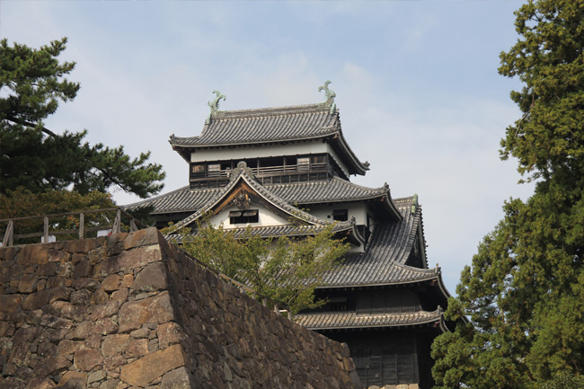 写真：松江城を見上げる