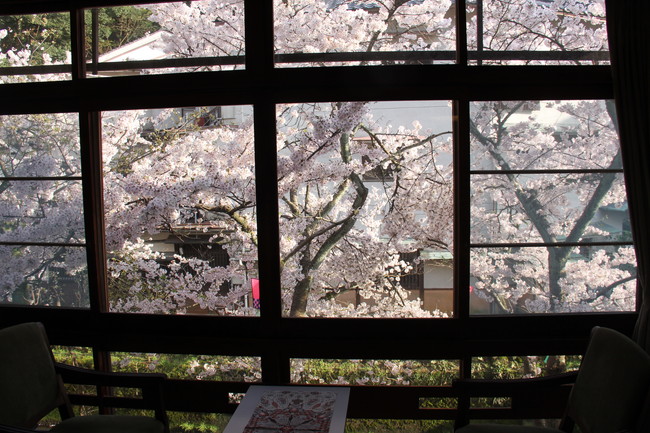写真：窓からみた桜