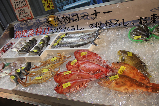 写真：敷き詰められた氷の上に並ぶ新鮮な魚