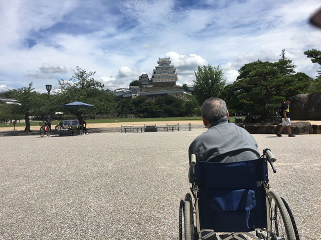 写真：姫路城を見る