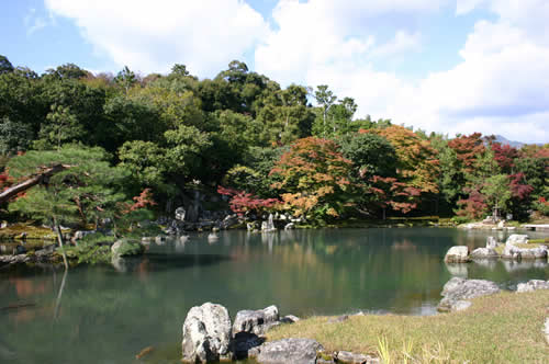 写真：嵯峨嵐山の美しい庭園