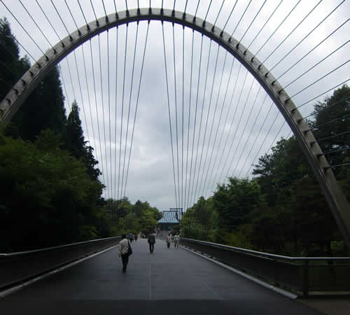 写真：橋を通って美術館へ