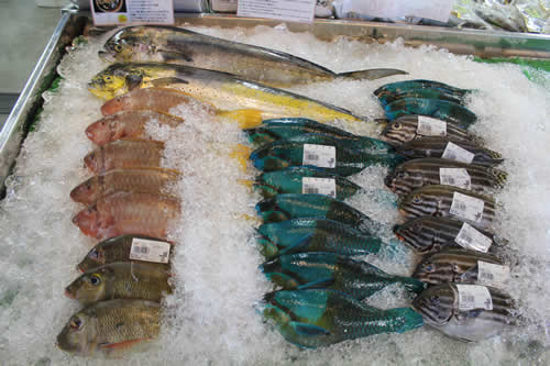 写真：沖縄の新鮮な魚
