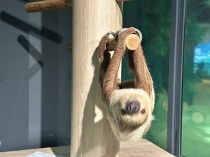 沖縄を満喫する旅 ~懐かしさと新しい発見を求めて~